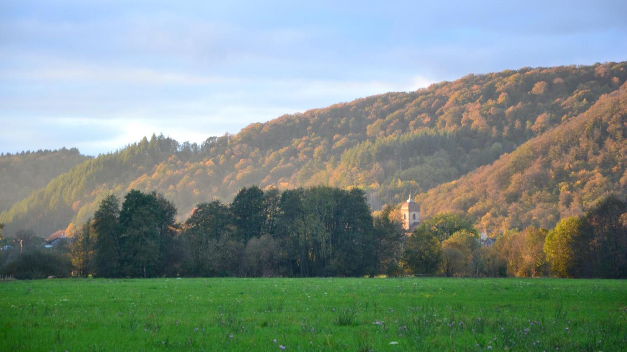 Chalet Des Aigrettes, Les 1000 Etangs La Voivre  ภายนอก รูปภาพ