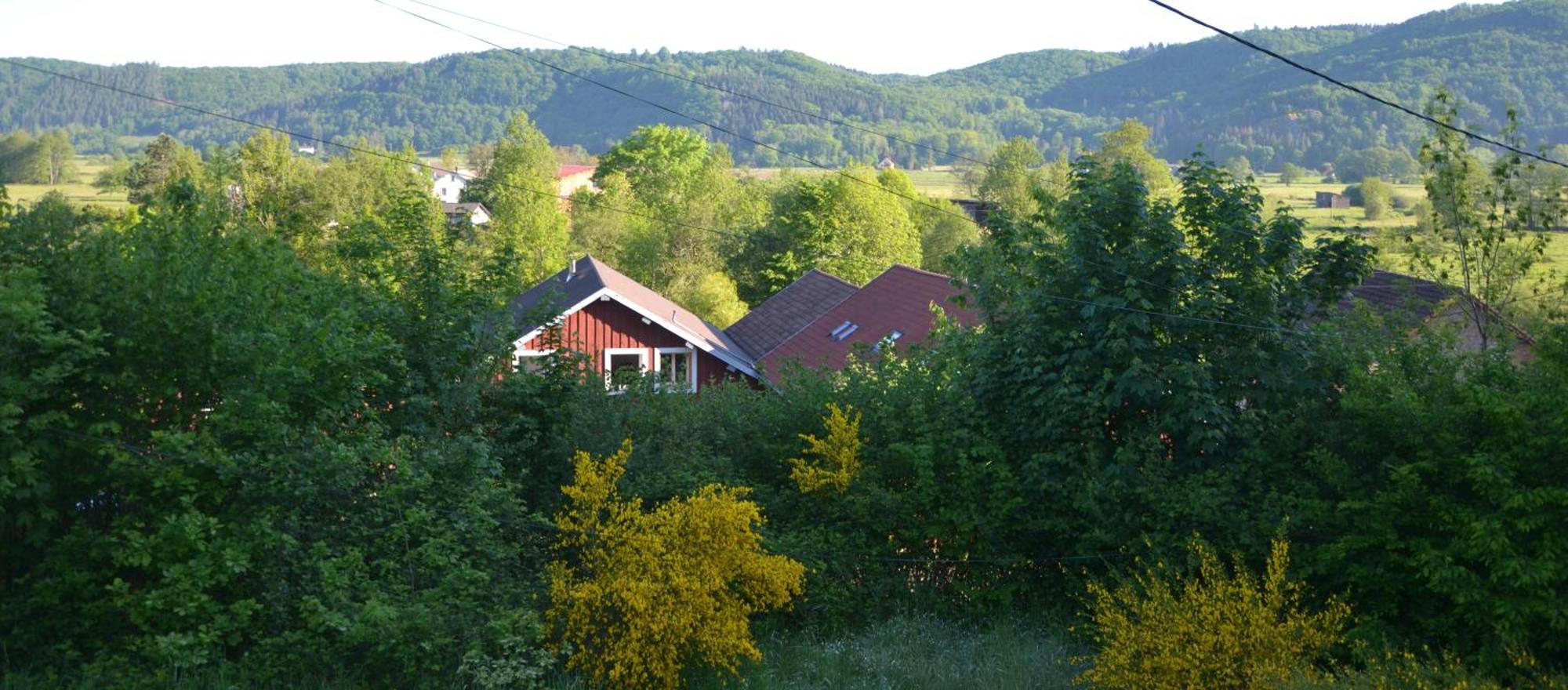 Chalet Des Aigrettes, Les 1000 Etangs La Voivre  ภายนอก รูปภาพ
