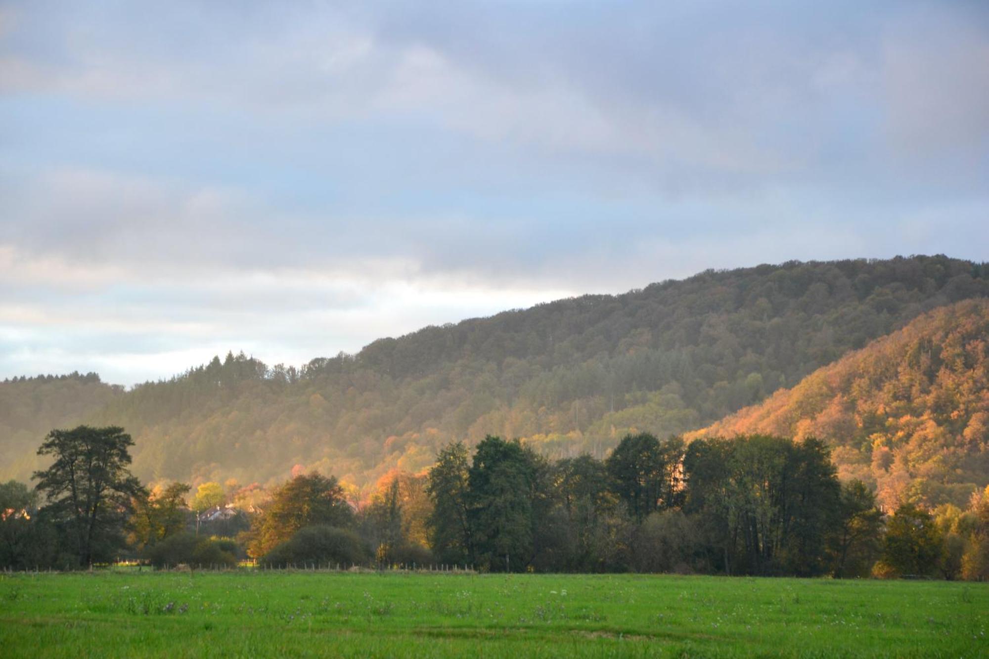 Chalet Des Aigrettes, Les 1000 Etangs La Voivre  ภายนอก รูปภาพ